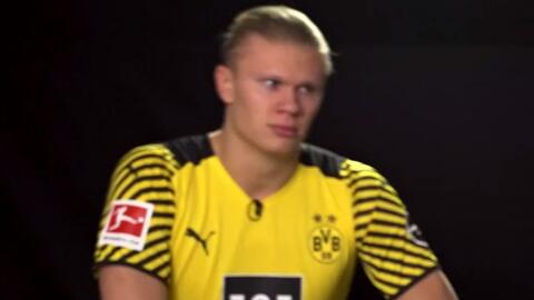 教练组提出 教练组提出